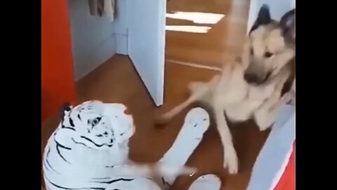 New Funny Animals 2023😍🤣 Funniest Cats and Dogs🐱🐶