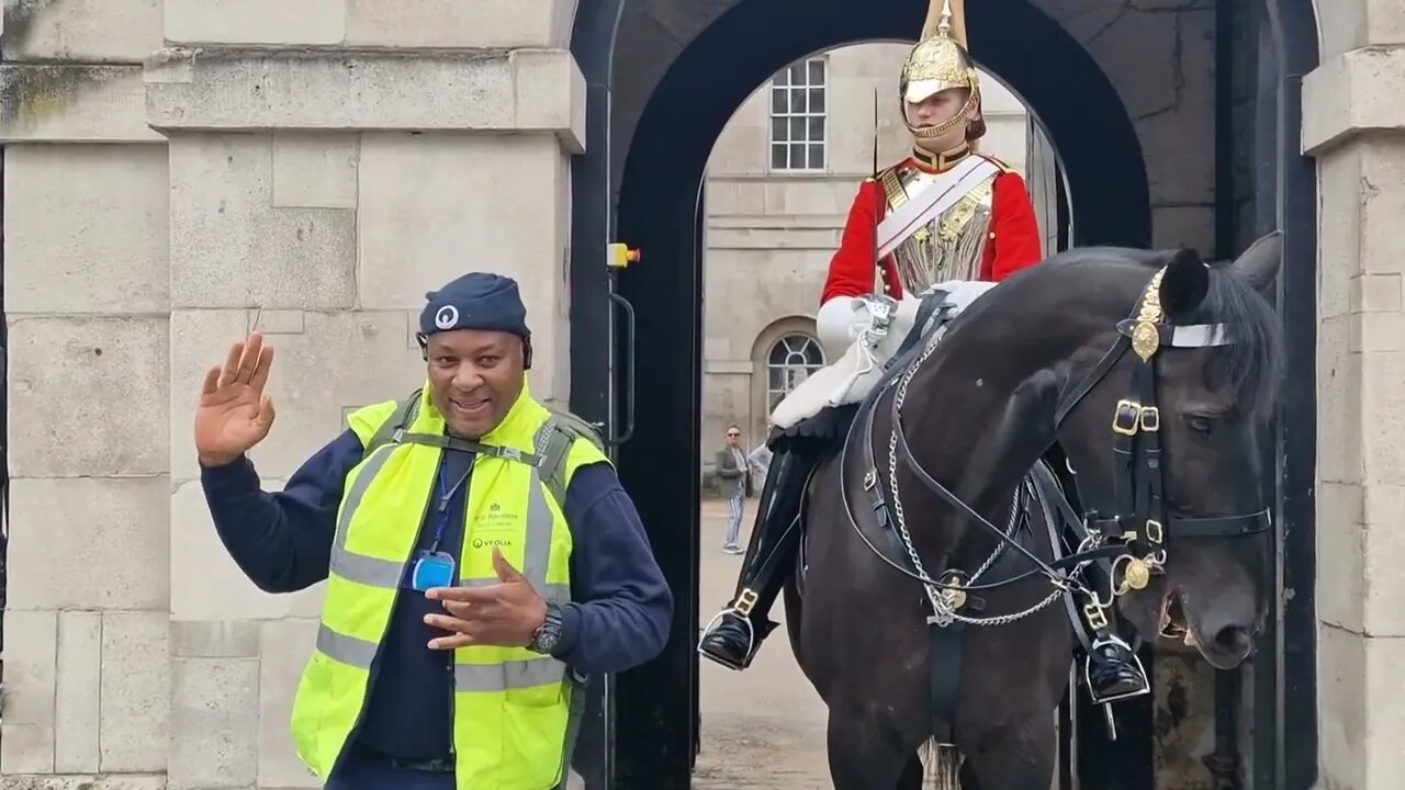 Big man gets bitten #horseguardsparade