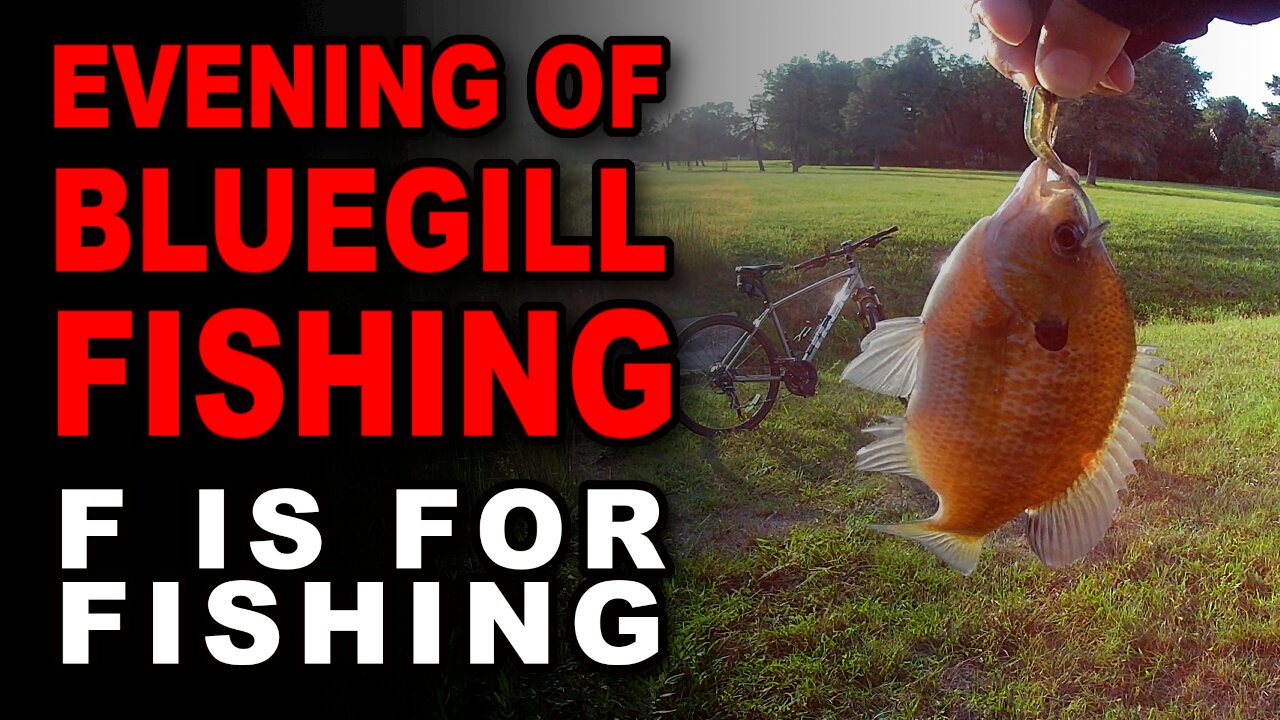 Evening of Bluegill Fishing