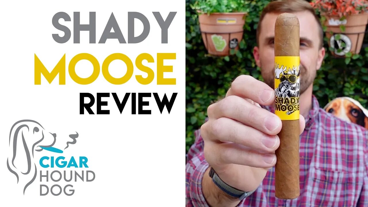 Shady Moose Cigar Review