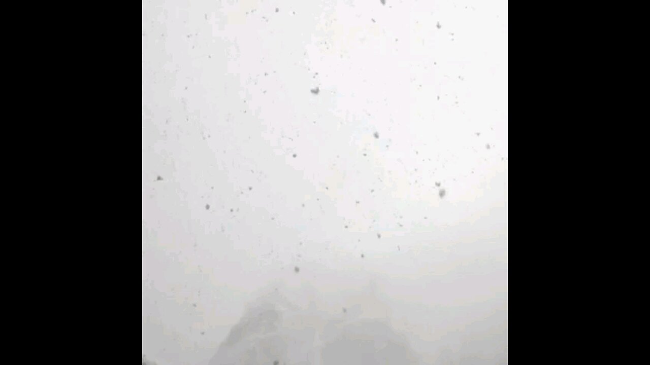 Fresh Snowfall in Kasol