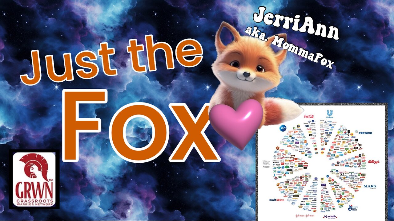 Just the Fox Ep. 11 - Stop Funding the Murder Machine THX Scott McKay