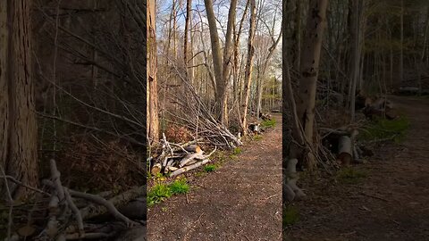 This Trail Is Destroyed from a Hurricane 🌀