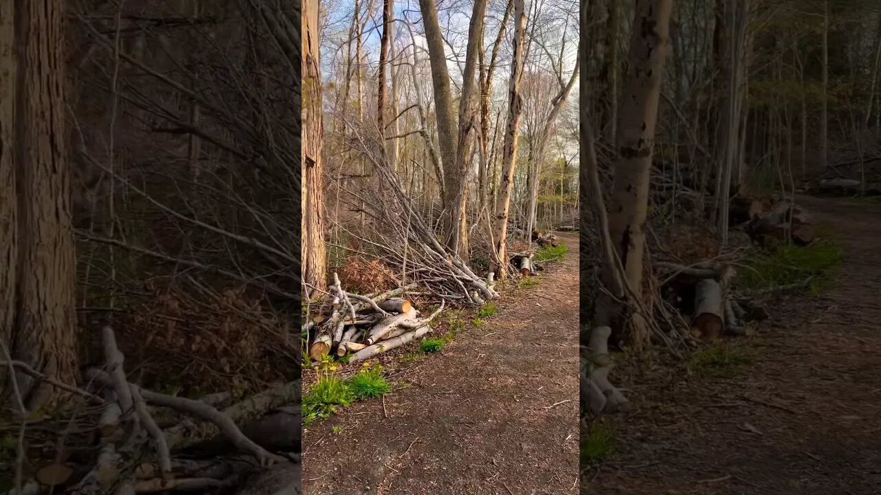 This Trail Is Destroyed from a Hurricane 🌀