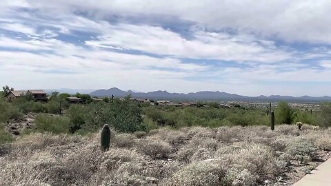 MCDOWELL(87 Truth) MOUNTAINS(126 Juan O Savin) = 213(Kidd By The Side Of The Road) 🤠🛩⛰🌵