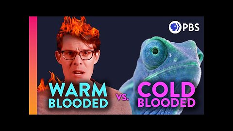 Why Are We Warm-Blooded?