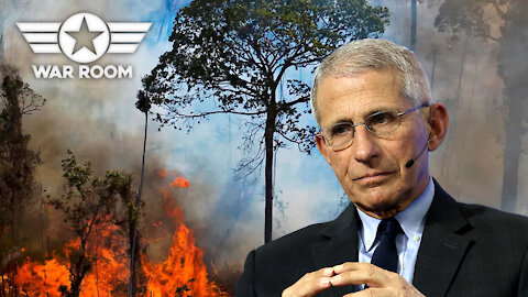 Medical Tyranny And Environmental Tyranny Tag Team To Enslave The Planet