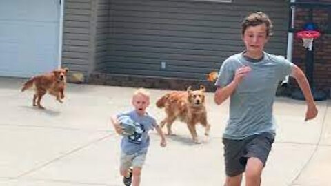 Just For Laughs, being chased by a dog-Prank