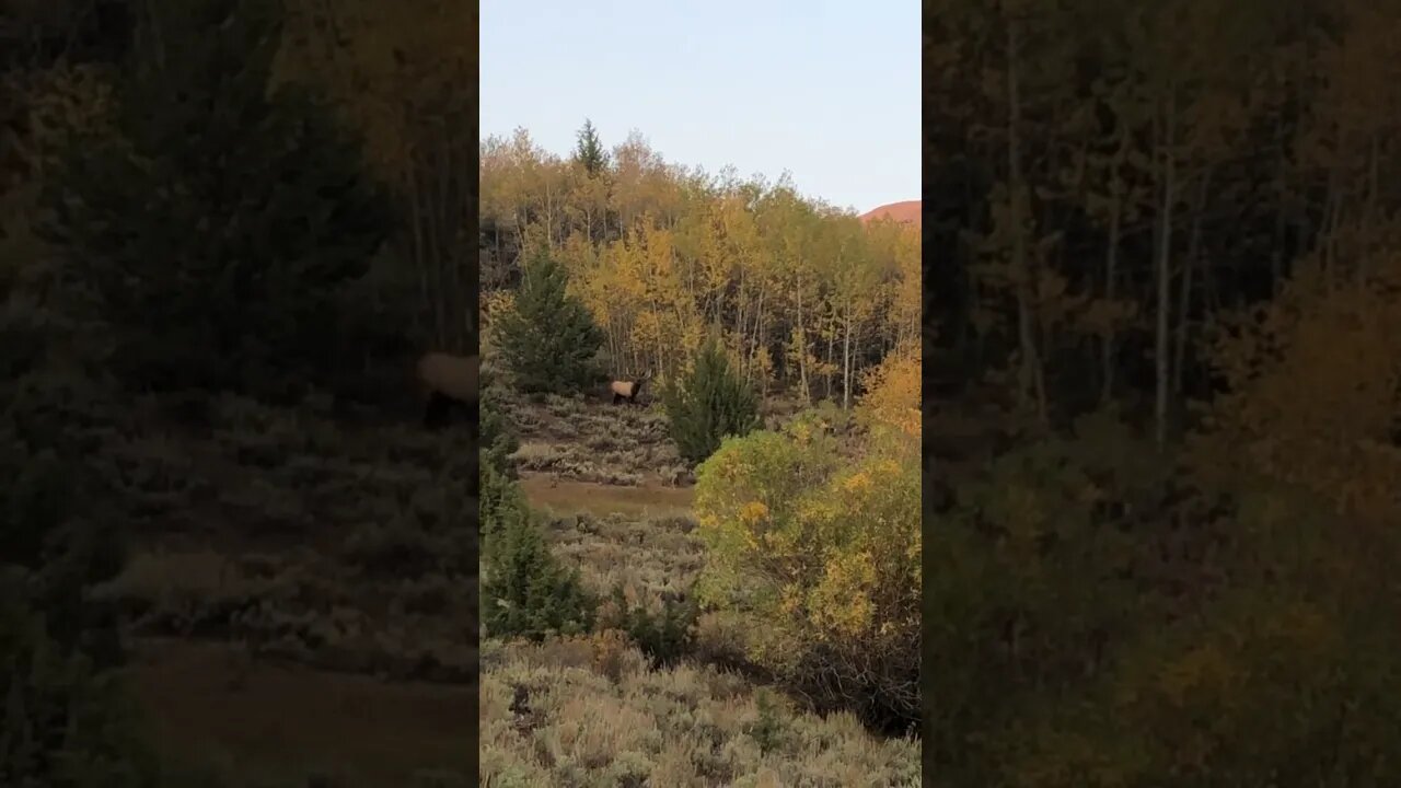 Hunting season is coming