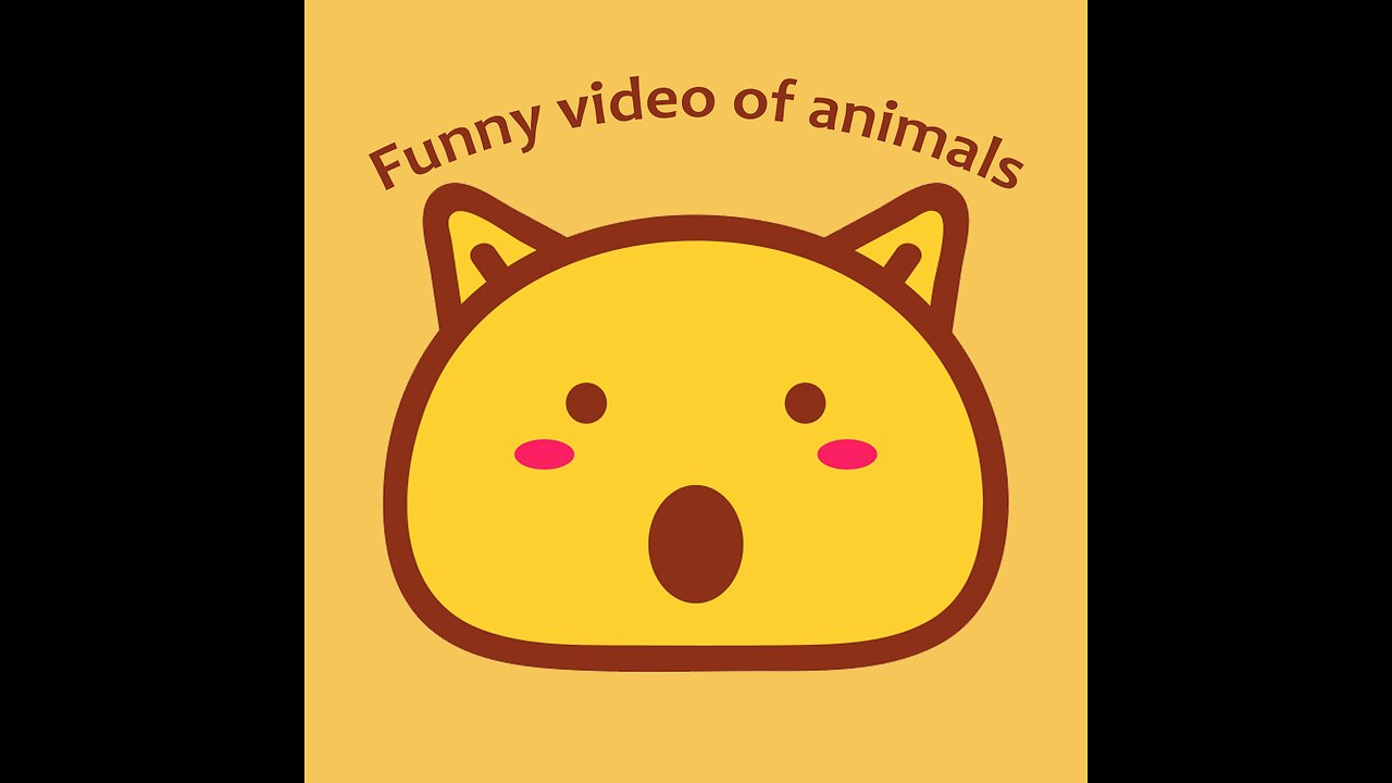 Funny Cats