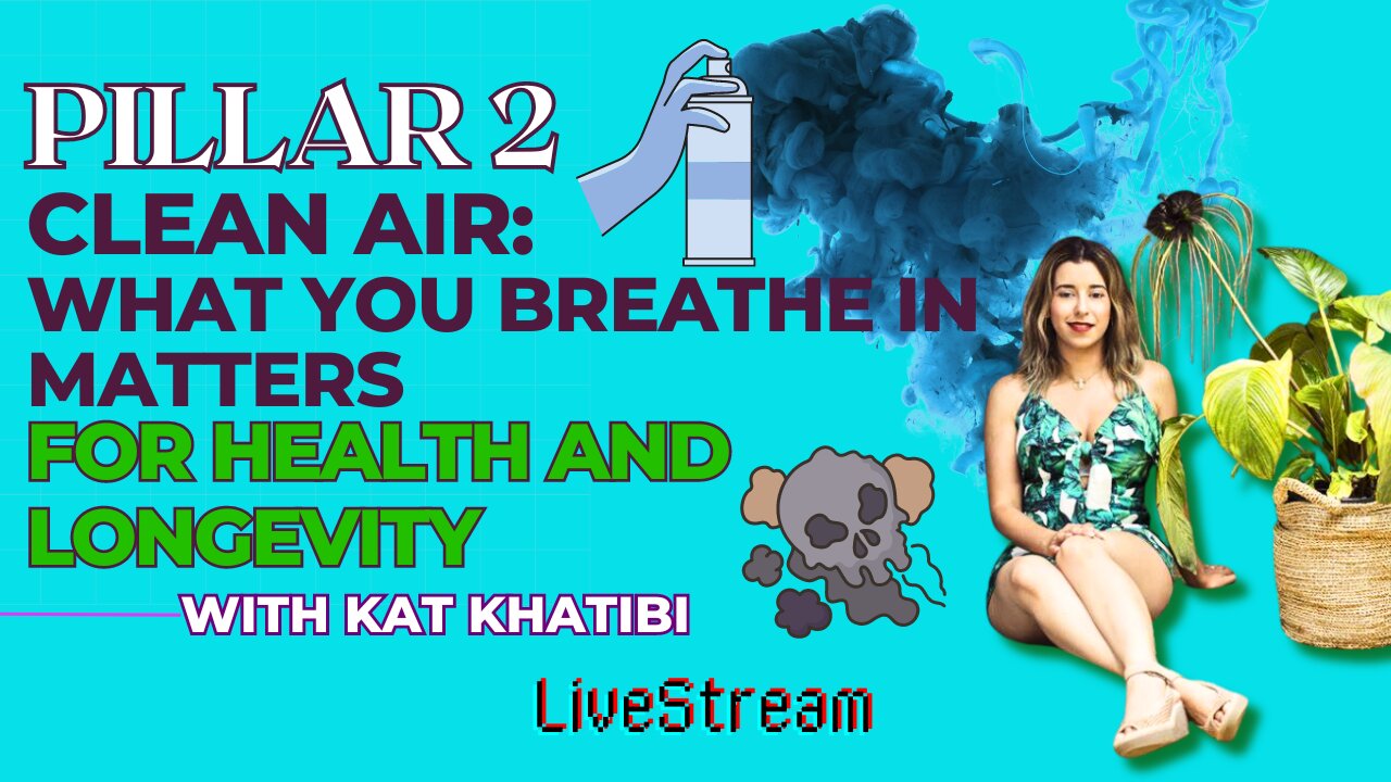 Pillar 2 Clean Air: What you Breathe In Matters for Health and Longevity with Kat Khatibi