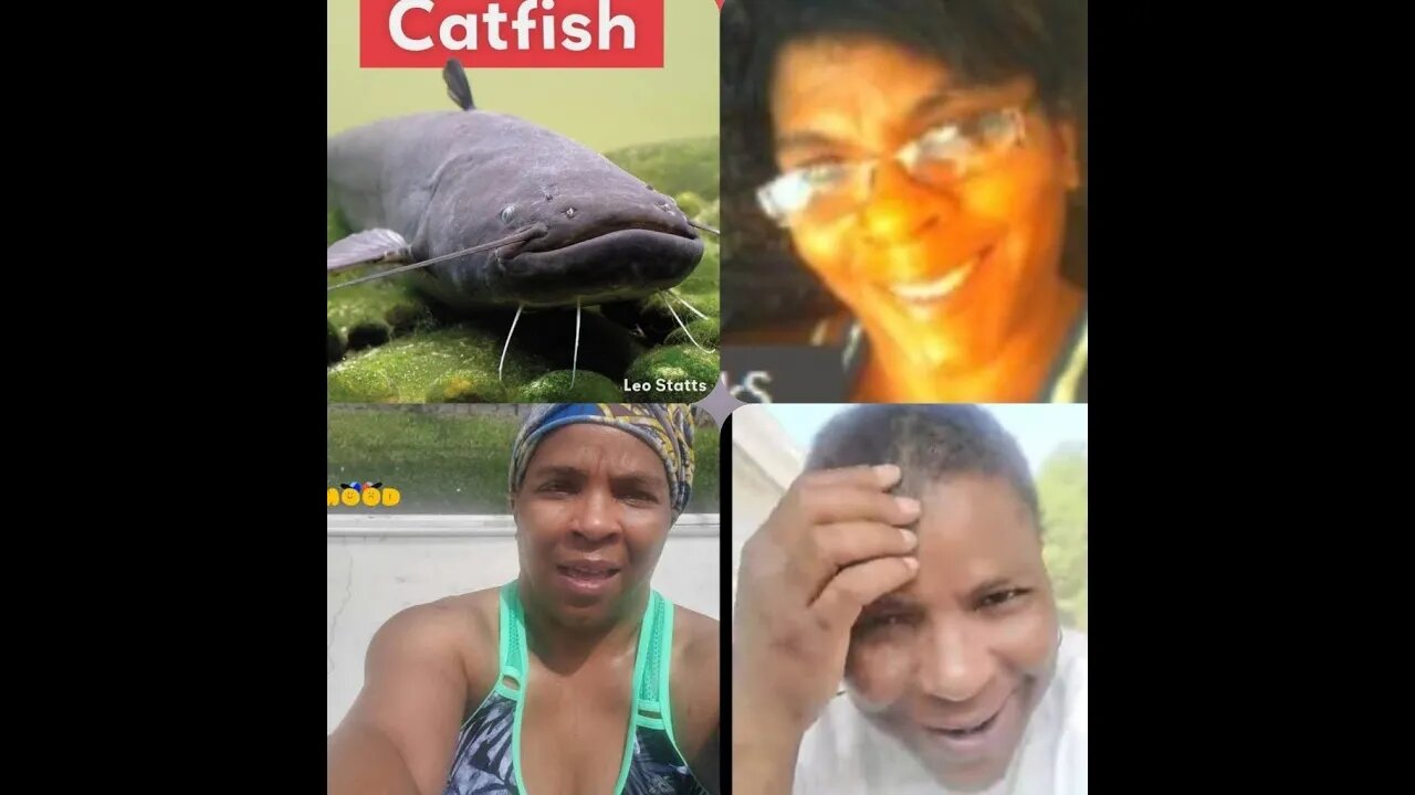 THE SCOTUS DID WHAT / THE FBI DID WHAT, OMG / ONE CATFISH YUCK MOUTH SAID WHAT, JUMP ON INN..💩