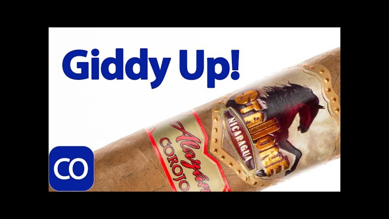 Stallone Alazan Corojo Toro Cigar Review