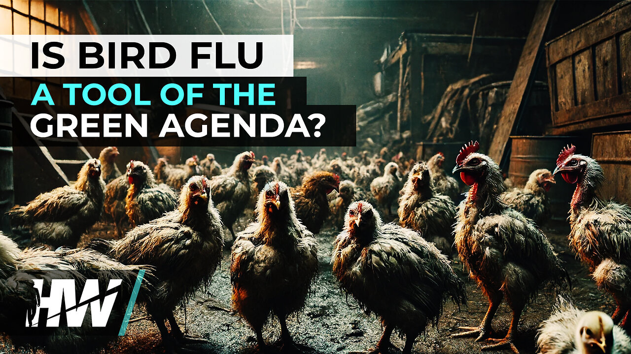 IS BIRD FLU A TOOL OF THE GREEN AGENDA? | The HighWire