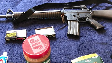 SHTF & Silver Part 2: From Community To Government; Silver's Role