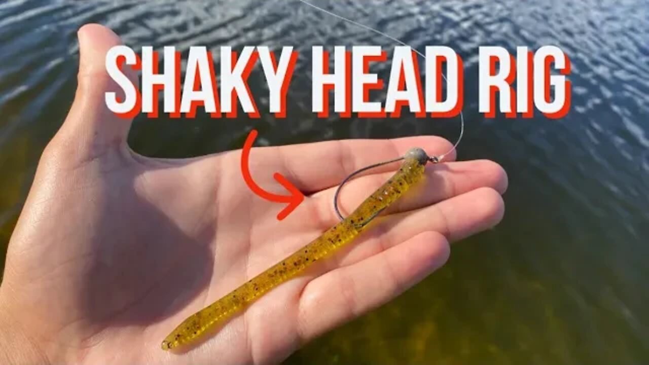 BASS destroy this! | Shaky head rig the EASY WAY 🔥