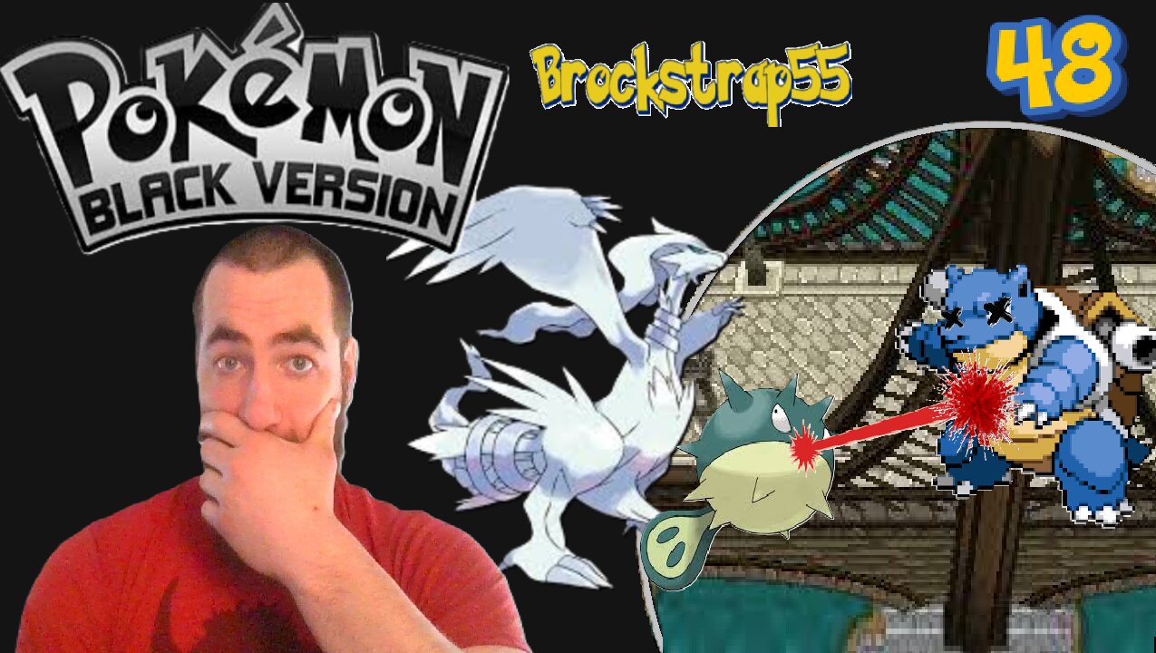 Pokemon Black Nuzlocke Ep 48 : Wasn't the End?!