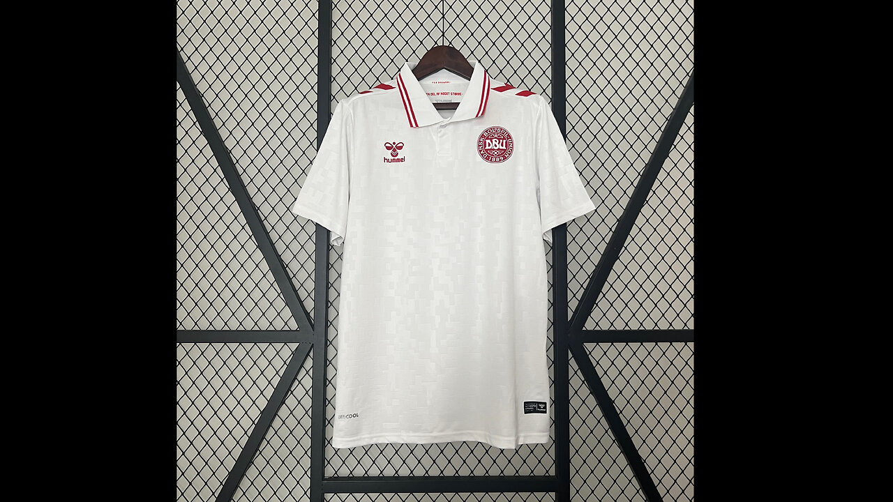 👉🏻⚽️2024 Denmark Away Adult Jersey