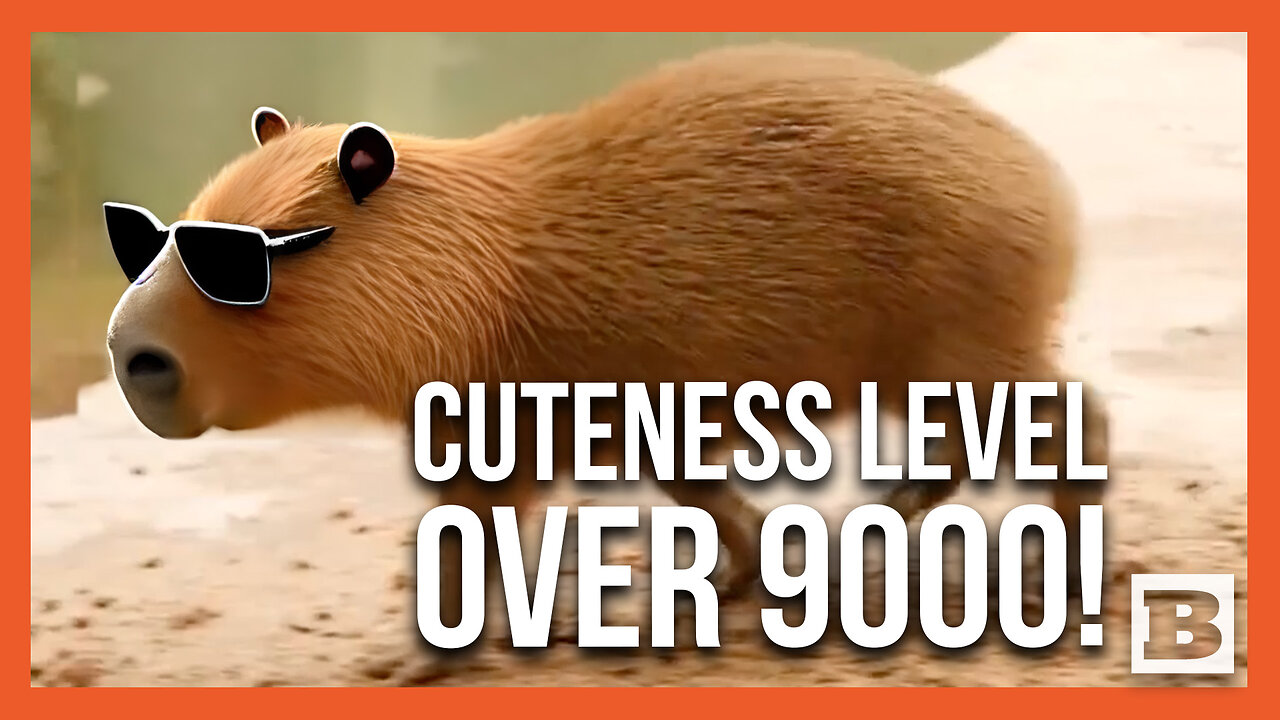 Baby Capybaras Show Off Massive Cuteness at Houston Zoo