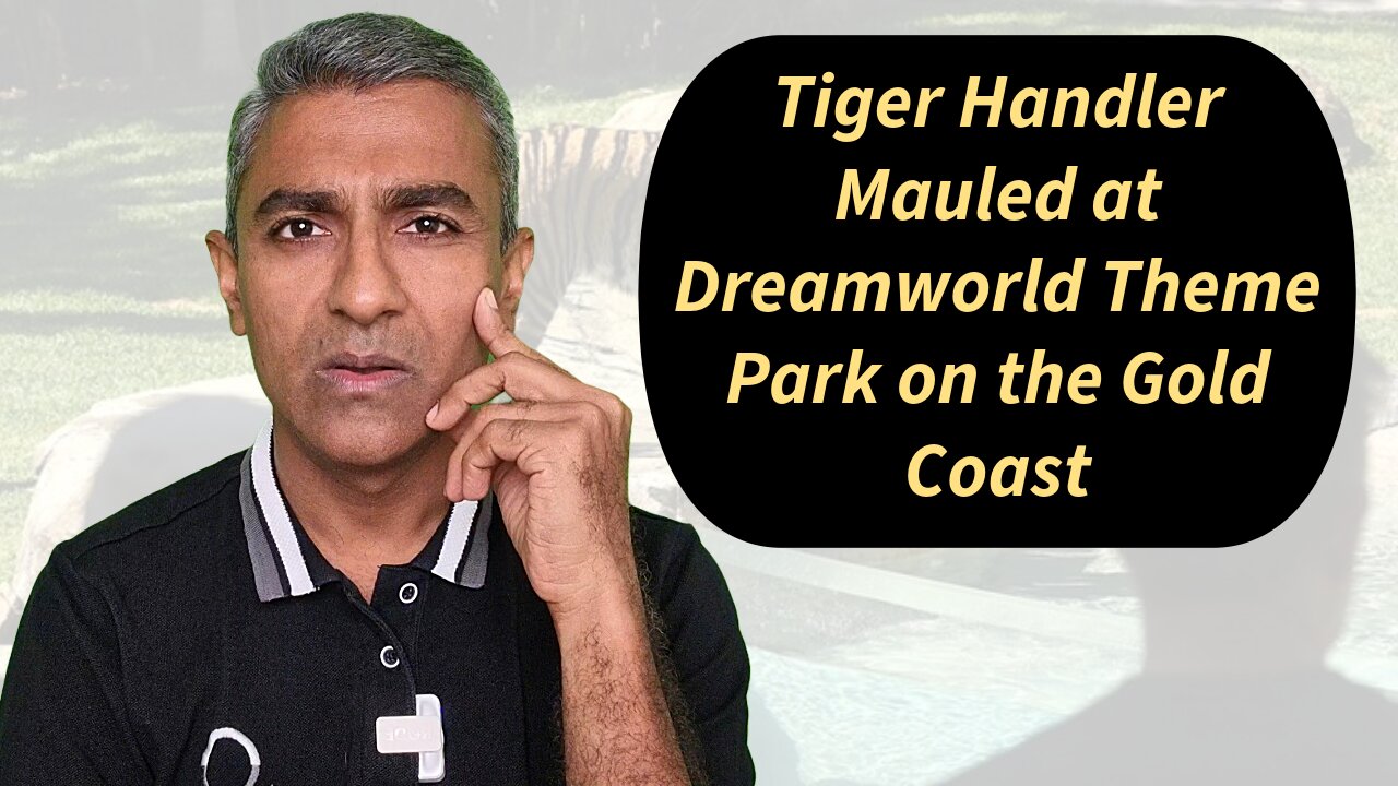 Tiger Handler Mauled at Dreamworld Theme Park on the Gold Coast