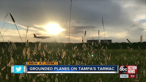 Tampa travelers sent scrambling after ground stop of 737 Max 8 planes