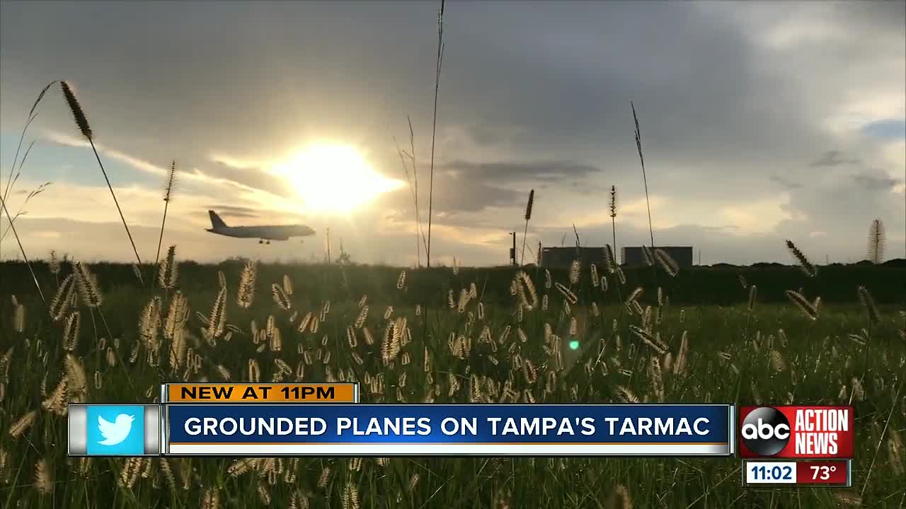 Tampa travelers sent scrambling after ground stop of 737 Max 8 planes