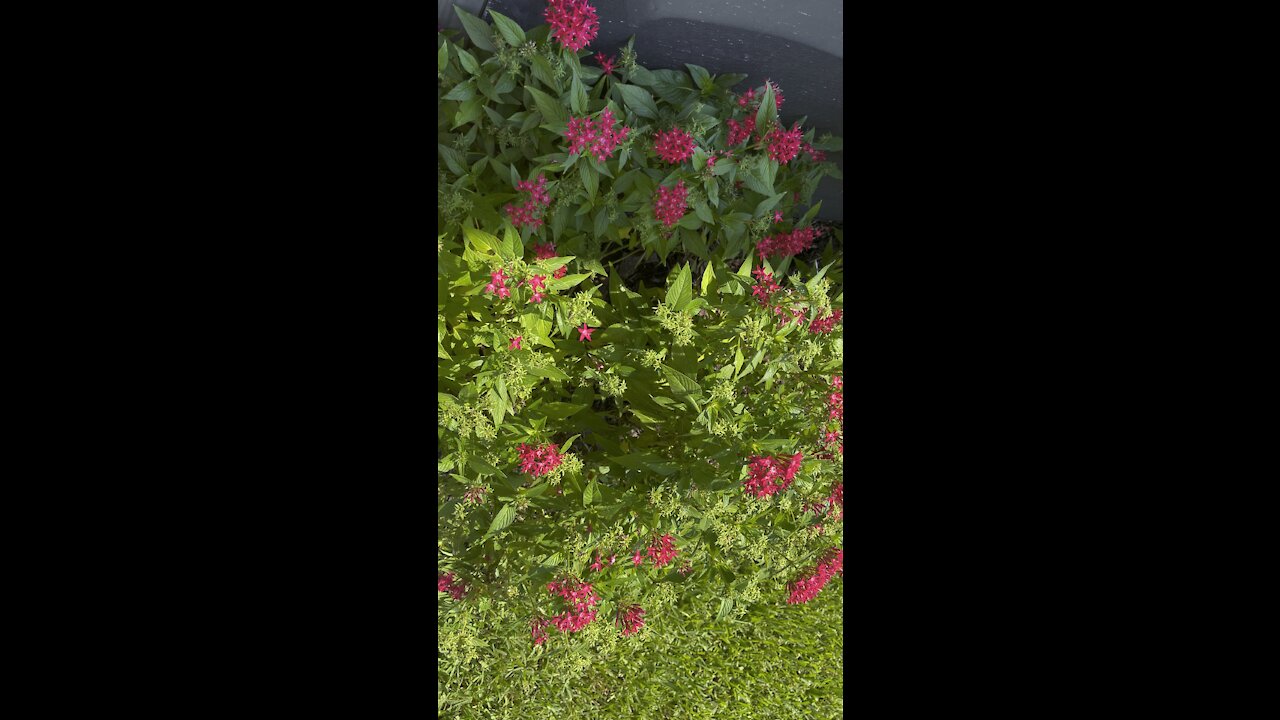 4K upload test 60FPS