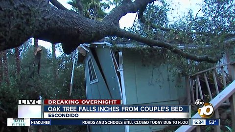 Couple escapes certain injury when tree falls on home