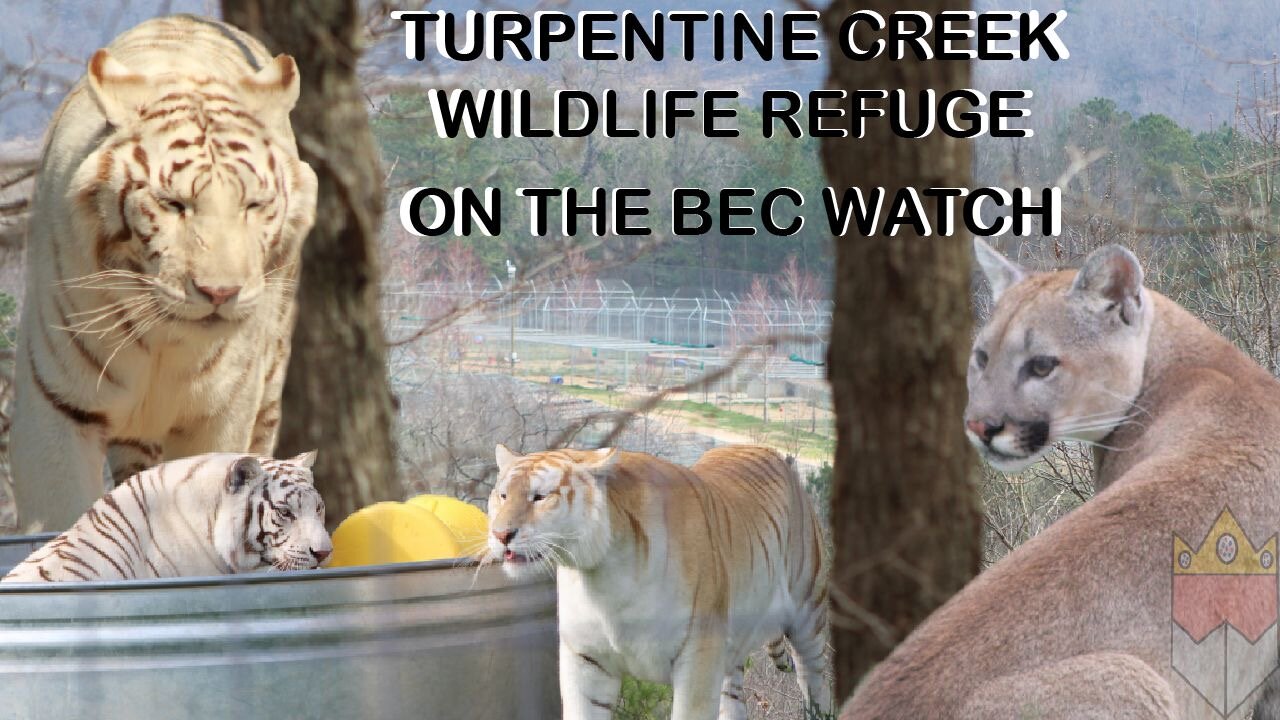 BEC Watch Entries: #10 Turpentine Creek Wildlife Refuge