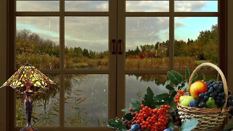 Autumn Siberia Nature Rain Window