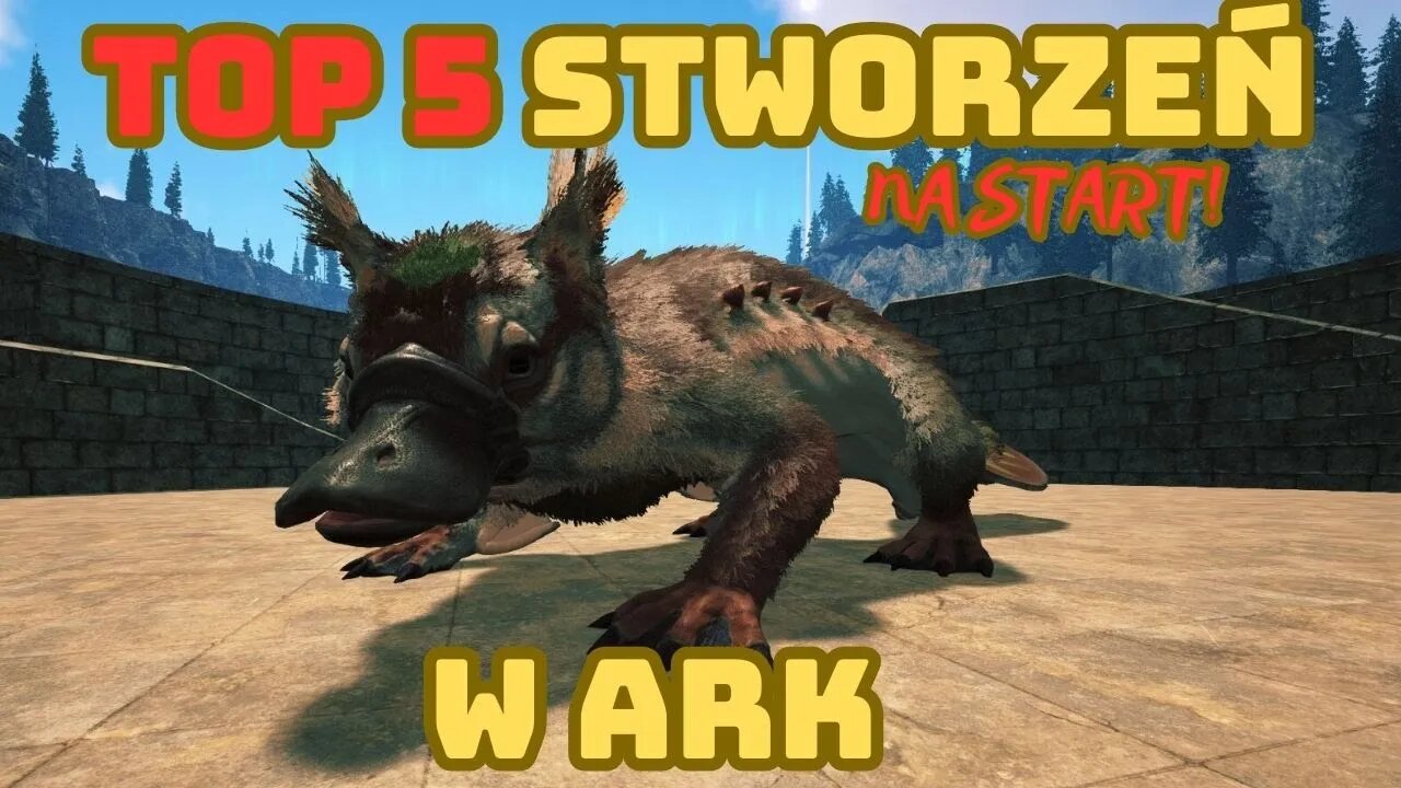 TOP 5 Stworzeń na start!