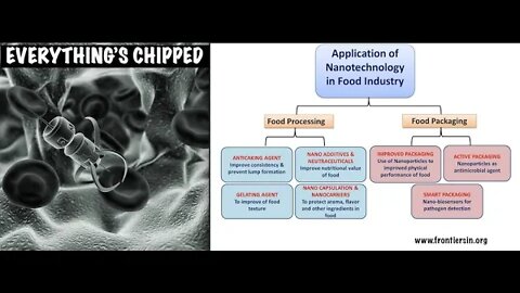 Everything's Chipped, Tess Clark PT4