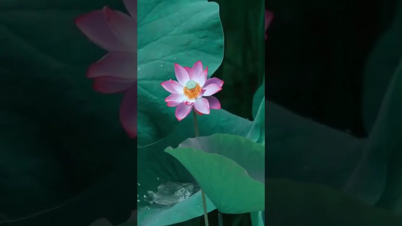 Relaxation