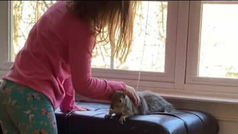 Girl and squirrel are best friends