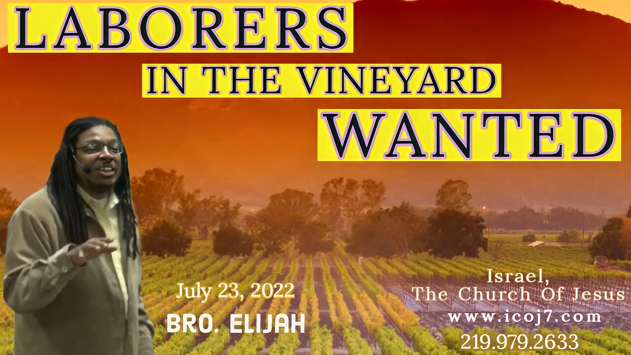 LABORERS IN THE VINEYARD WANTED
