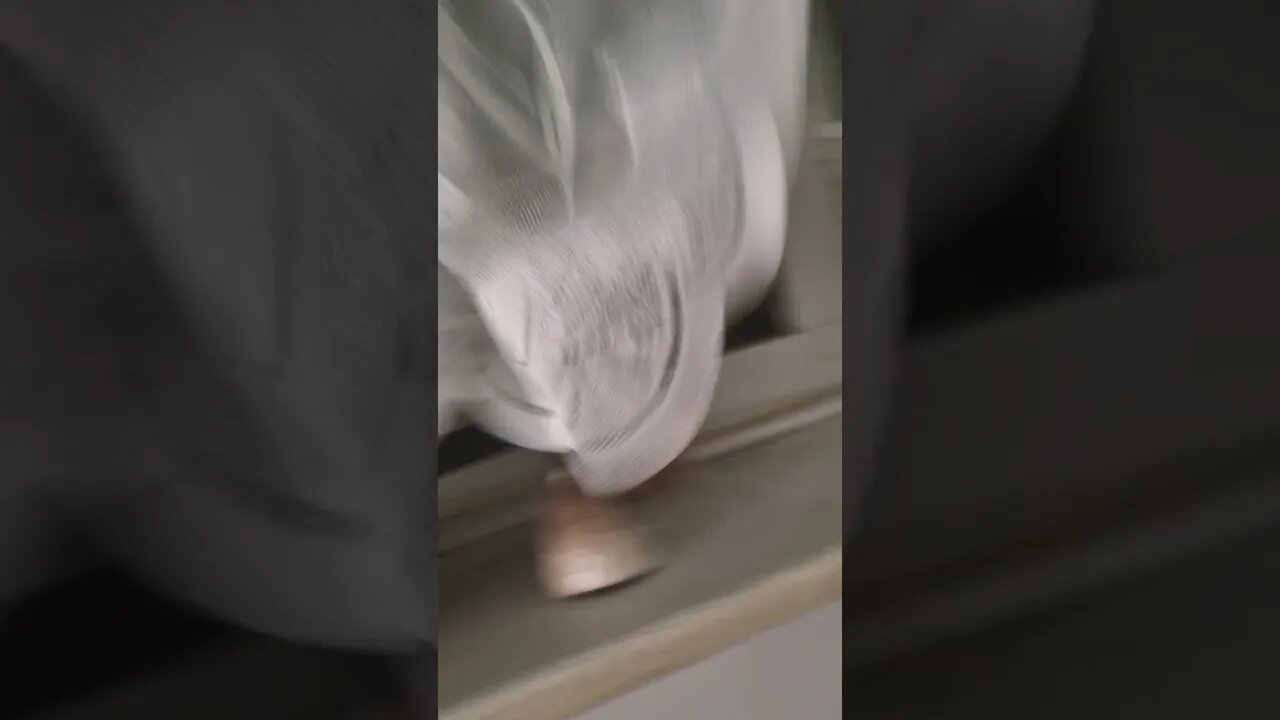 First morning 🌄 view of my living room in April enjoy 😉 don't forget to like and subscribe 😉