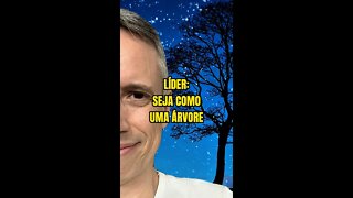 Insight 124/365 - Líder: Seja Como Uma Árvore