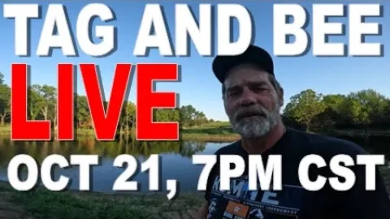 LIVE WITH TAG AND BEE