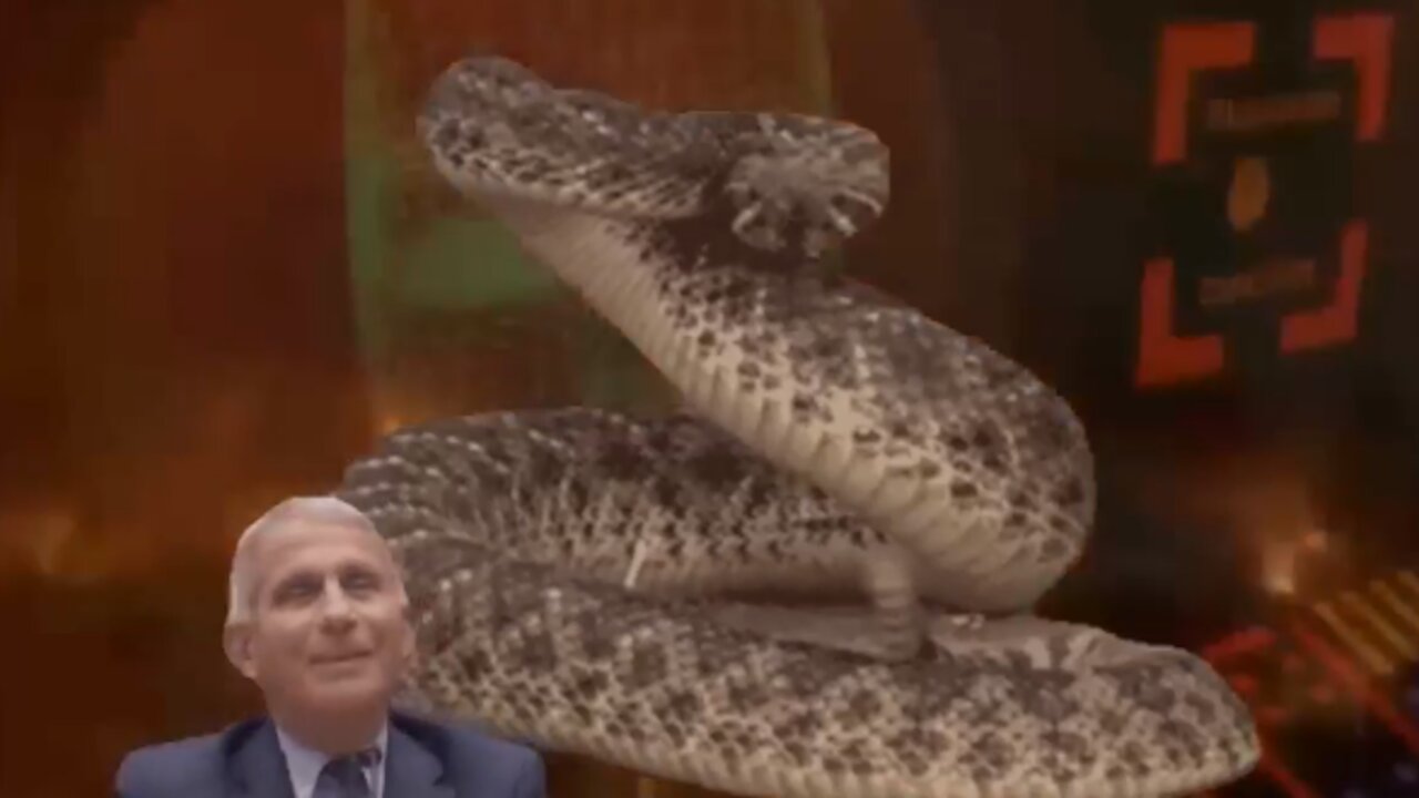 THE SCORPION STING/NEWS