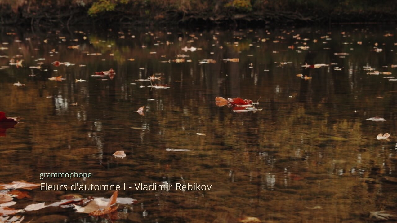 Fleurs d'automne (électriques) - Vladimir Rebikov