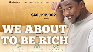 The Best Ecosystem to Get Rich - Drip Network and Animal Farm Crypto
