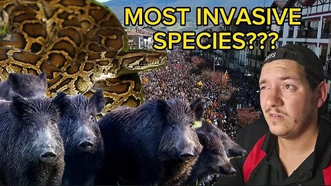 Are humans the most invasive species?