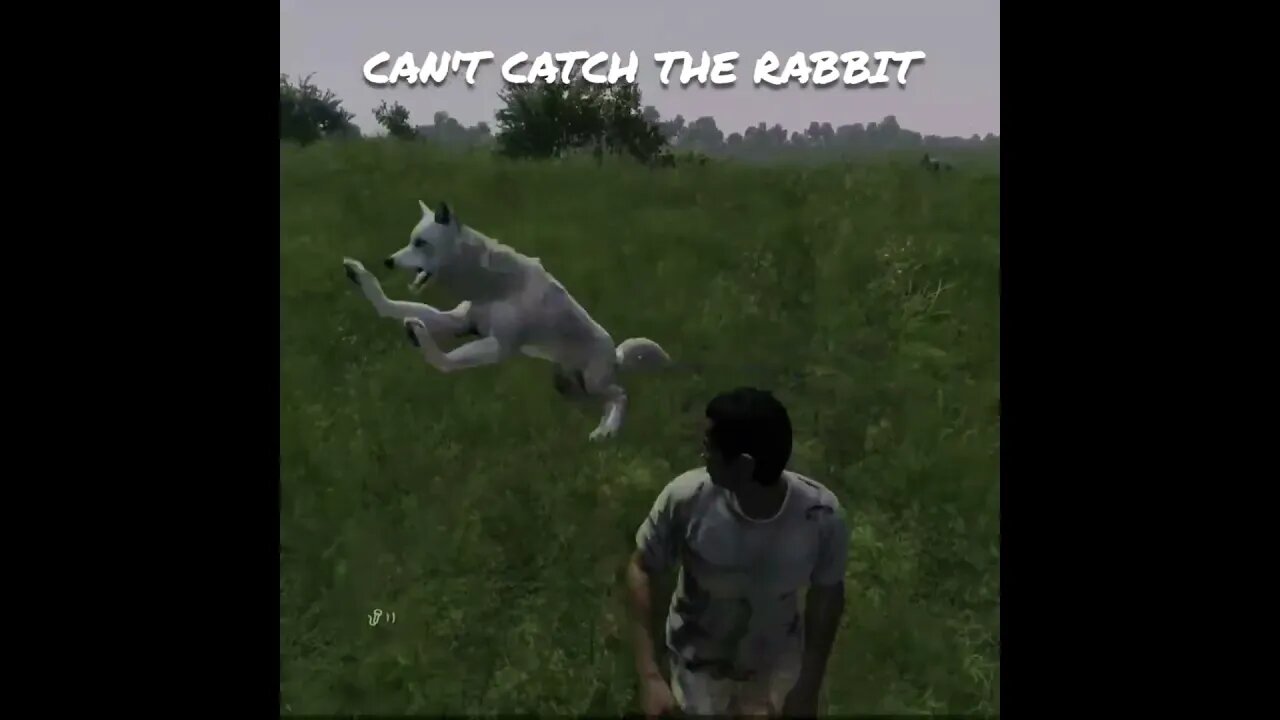 DayZ Survival 101...RUN