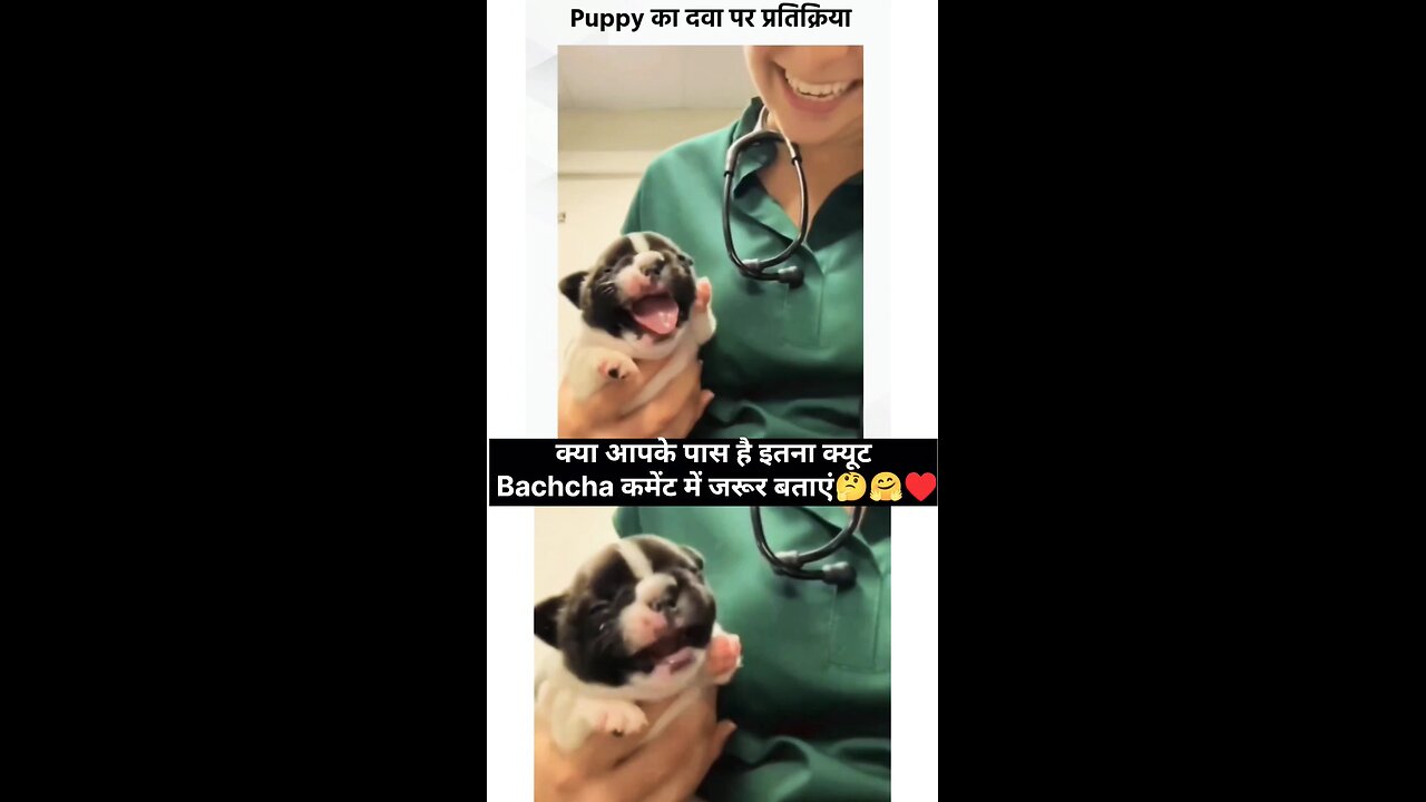 When a small puppy was given medicine 🥰🥰🥰