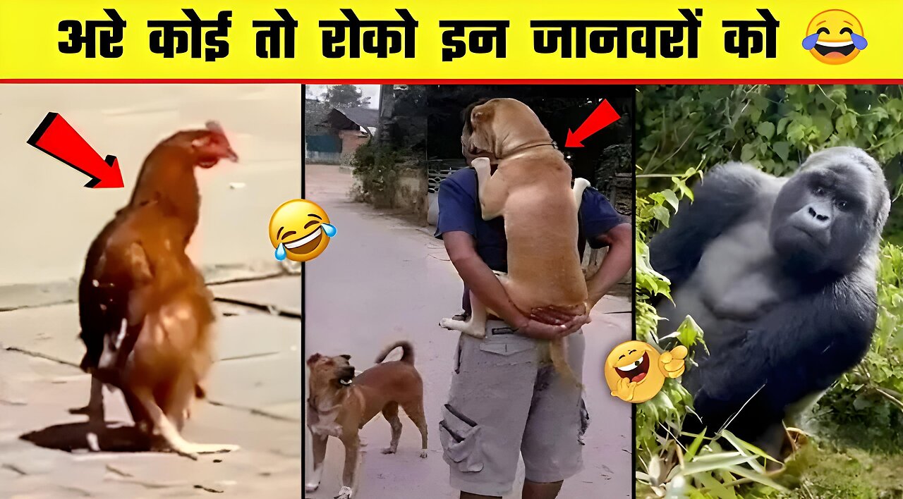 AWW New Funny Videos 2022 😂 Cutest People Doing Funny Things 😺😍 Part 37