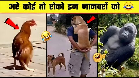 AWW New Funny Videos 2022 😂 Cutest People Doing Funny Things 😺😍 Part 37