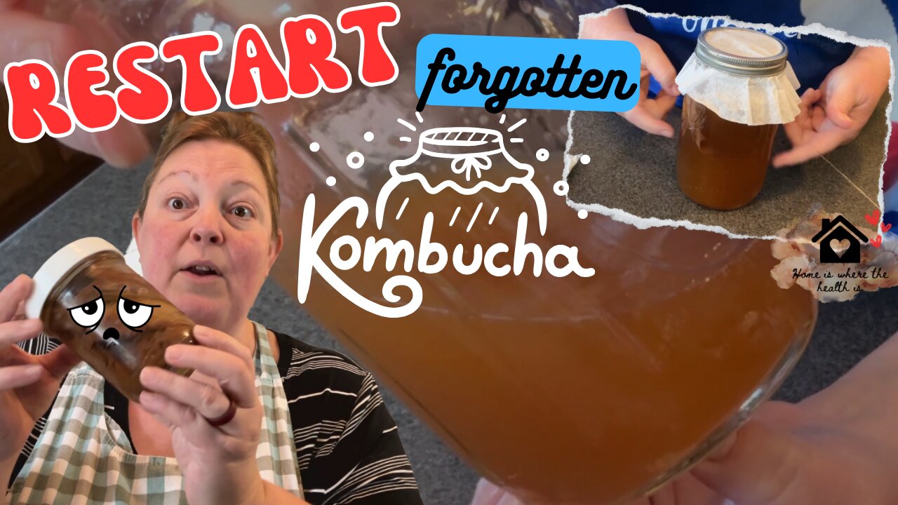 You stopped brewing your Kombucha and forgot about your Scoby, now what?