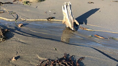 Fresh water returning to the Atlantic Ocean