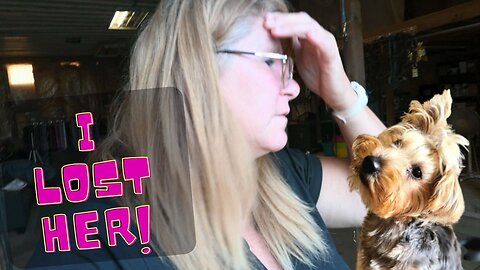 I Lost Ellie!