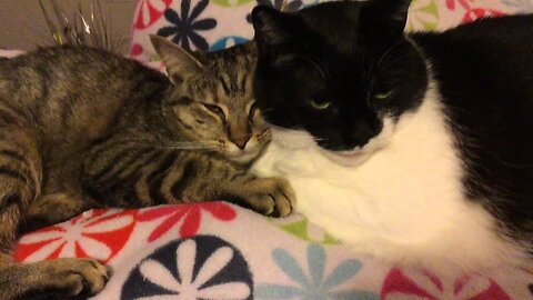 Things That Make You Go: "Hrmm" & Things That Make You Go: "Awww"